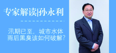 汛期已至，城市水體雨后黑臭問題該如何破解？